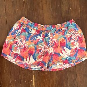 Barely Baggies Patagonia shorts